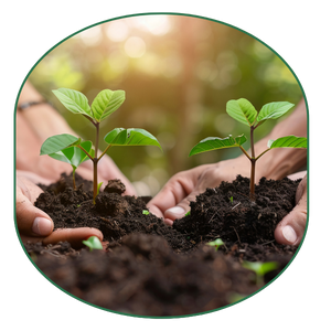 Non-profit Initiatives